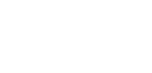 light logo